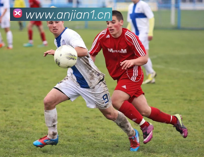 mksports官方商城发展历程